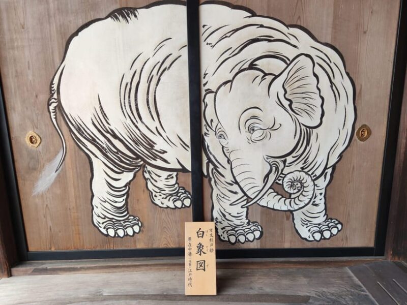 Kyoto's Cherry Blossom Beauty: A 4-Hour Sakura Stroll - Good To Know