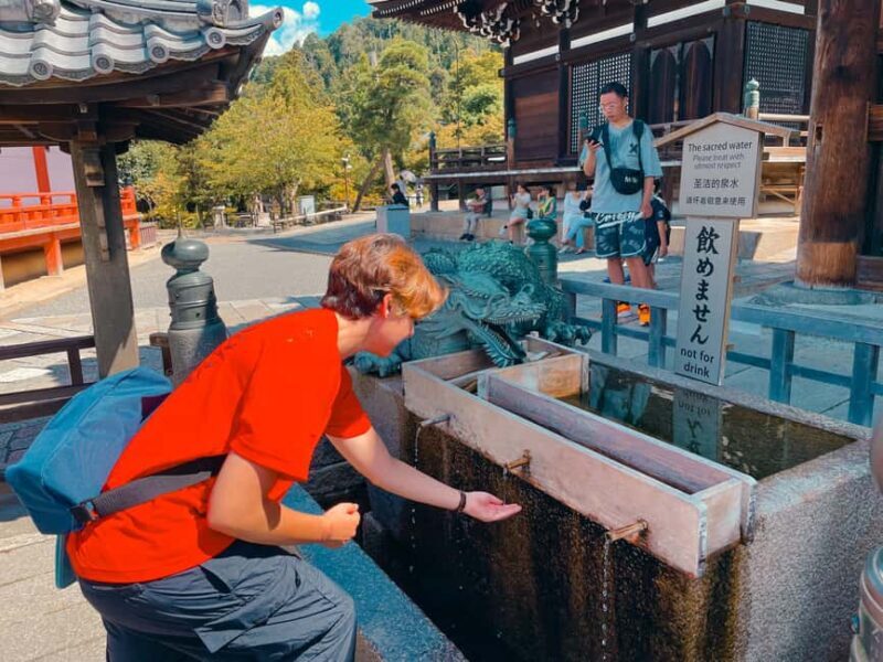 Kyoto's Soul: Gion & Kiyomizudera Historical Walking Tour - Who Will Love This Tour?