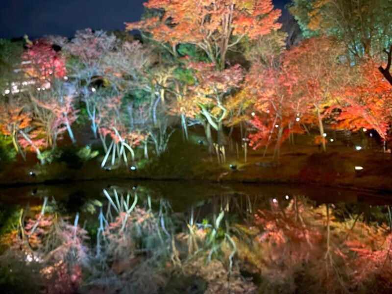 Kyotos Timeless Charm: 3hr Exploration of History and Peace - The Value of This Experience