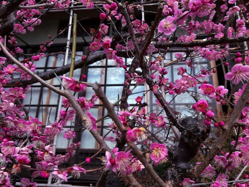 Kyoto's World of Zen Buddhism Feat. Highlights of Ginkakuji - FAQ