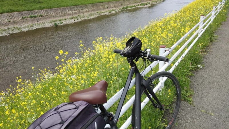 Kyoto:Three Gardens Bike Tour - The Sum Up