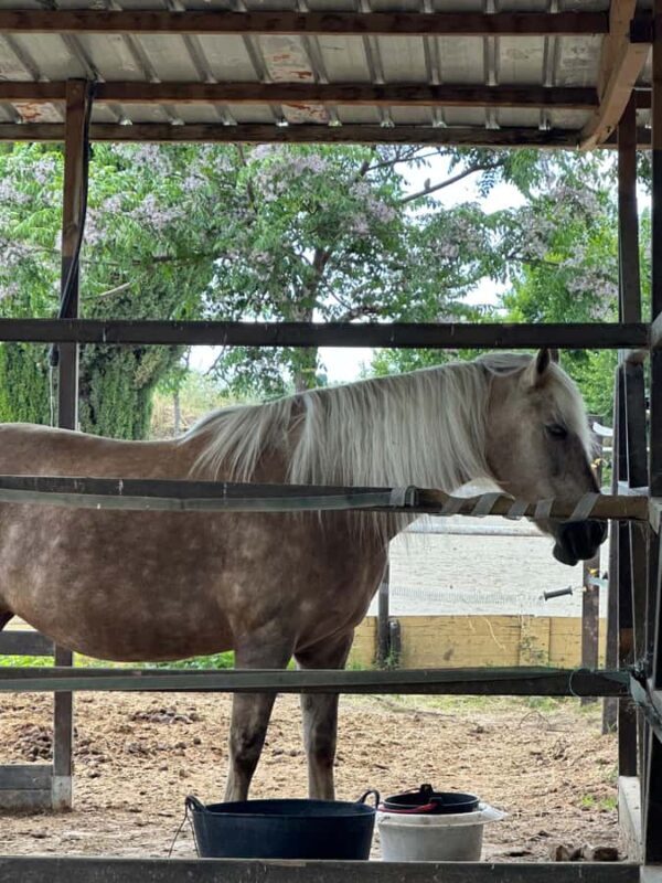 Kyrgyzstan: Burana Tower & Chon-Kemin Valley Ride - The Sum Up