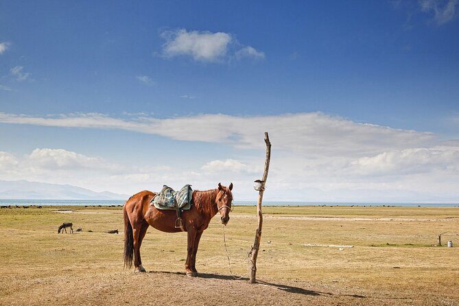 Kyrgyzstan Highland Lakes and Yurt Camps Adventure Trip - The Sum Up