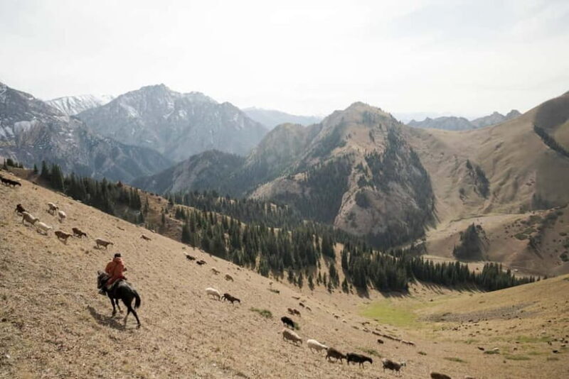 Kyrgyzstan: Horse trek, horsemanship & local community - The Sum Up  