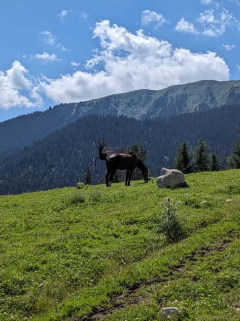Kyrgyzstan: Pearl of the Heavenly Mountains - Good To Know