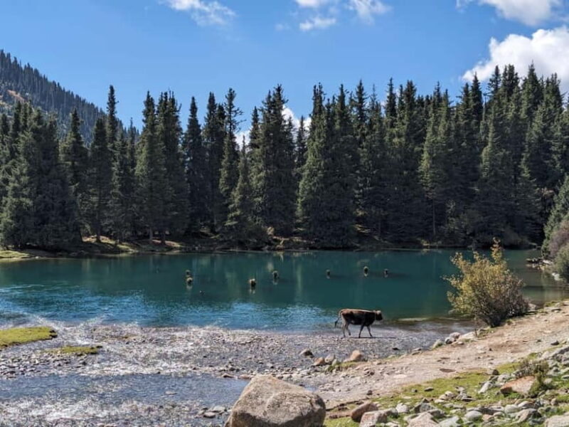 Kyrgyzstan: Pearl of the Heavenly Mountains - Practicalities and Value