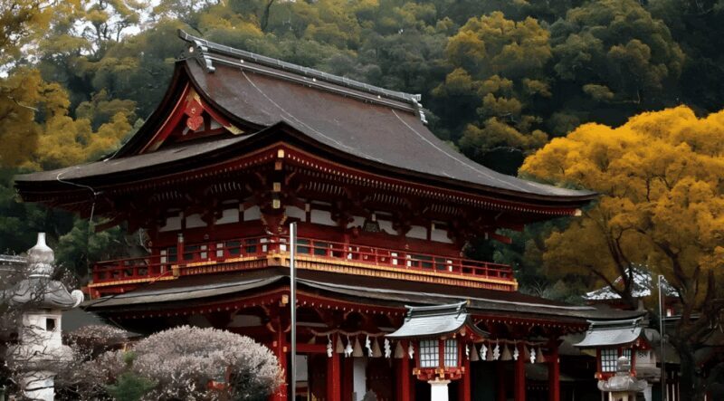 Kyushu 9-hour chartered day trip Fukuoka - A Practical Guide to the Kyushu 9-Hour Fukuoka Charter Tour