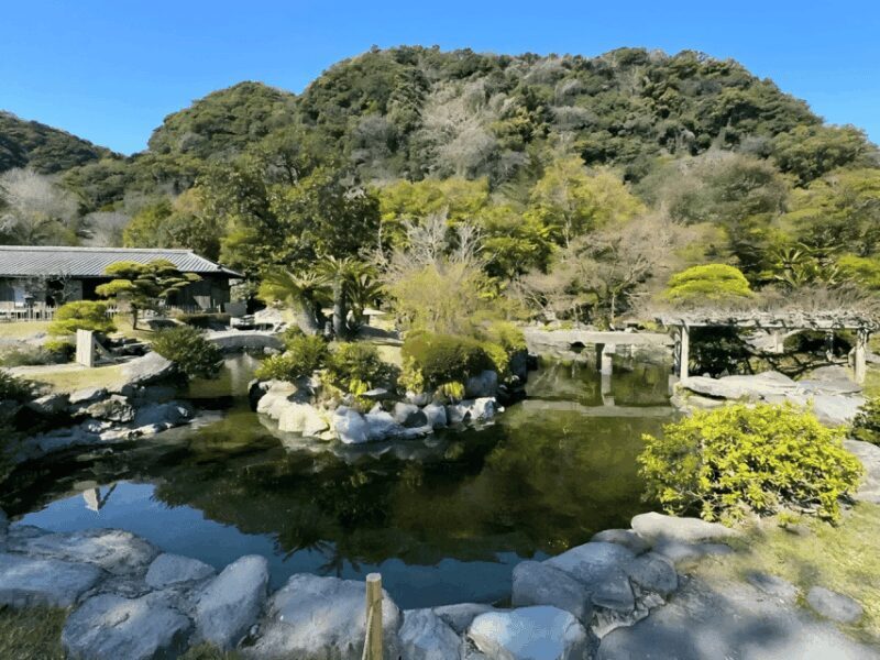 Kyushu 9-hour chartered day trip Kagoshima - Why Choose this Tour? 