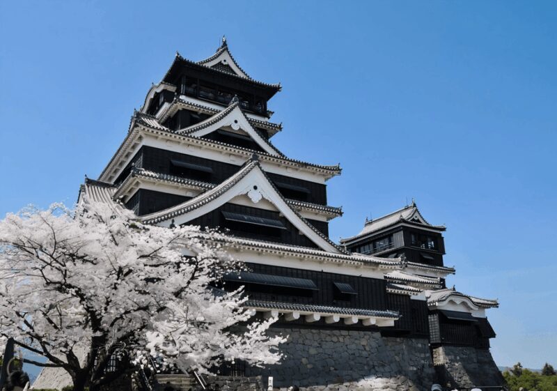 Kyushu 9-hour chartered day trip Kumamoto - Why This Tour Offers Great Value