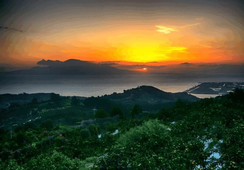 Kyushu 9-hour chartered day trip Kumamoto - FAQ