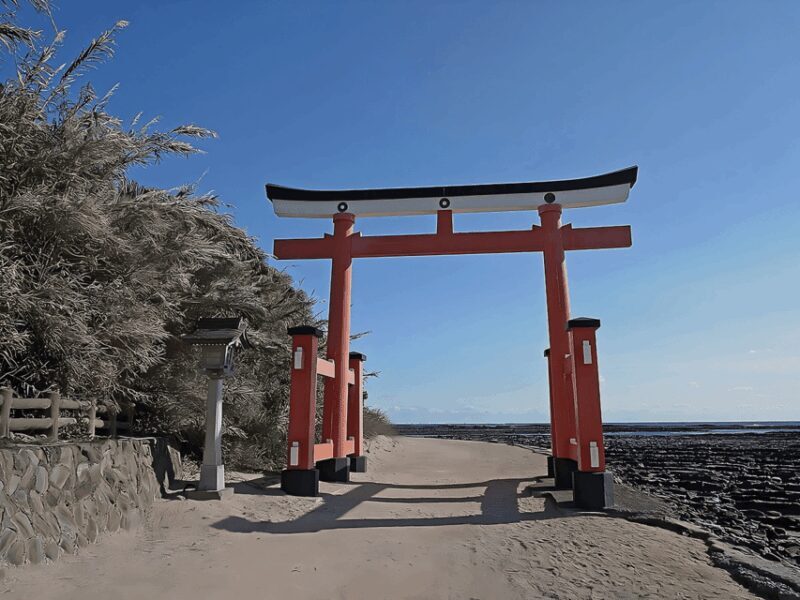 Kyushu 9-hour chartered day trip Miyazaki - Is This Tour Right for You?