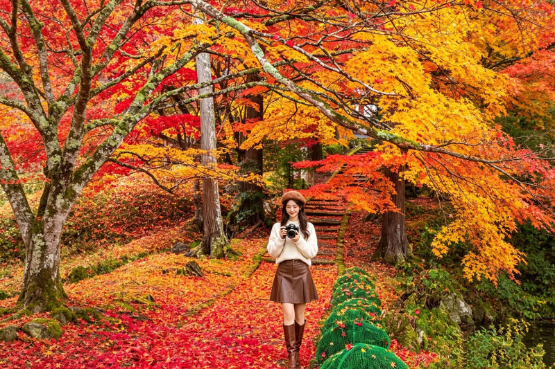 Kyushu Autumn Foliage Limited | Yufuin & Umi Jigoku & Yabakei & Kamado Shrine Day Tour - Four Kyushu stops, one long day from Hakata