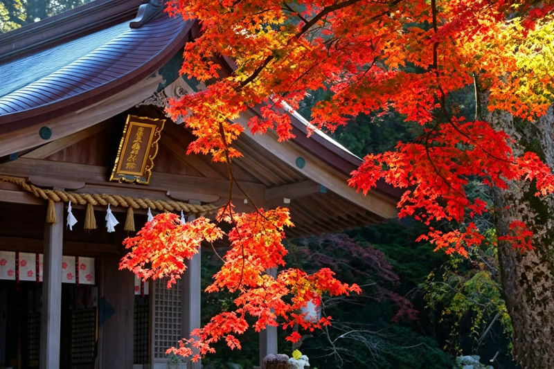 Kyushu Autumn Foliage Limited | Yufuin & Umi Jigoku & Yabakei & Kamado Shrine Day Tour - Yufuin: a town stroll with Mount Yufu in view
