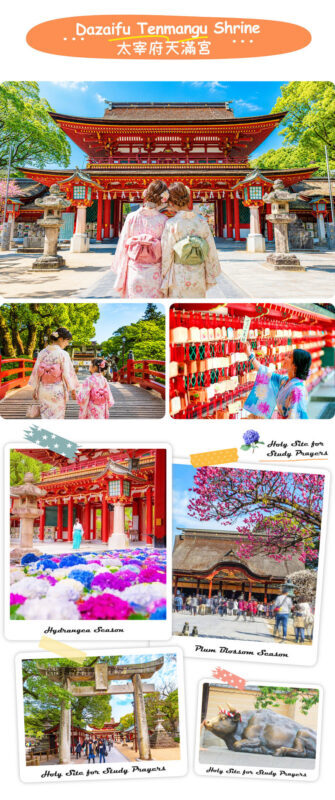 Kyushu Culture and Nature Tour: Dazaifu Kimono Experience / Strawberry Picking-Yanagawa River Cruise-Tosu Premium Outlets Seasonal Limited Itinerary (Departing from Fukuoka) - Guides, pace, and the shared coach