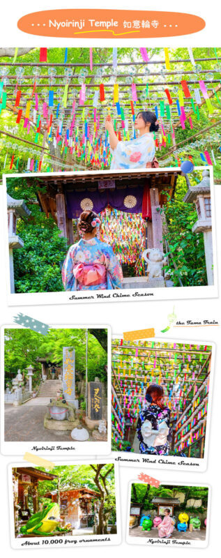 Kyushu Culture and Nature Tour: Dazaifu Kimono Experience / Strawberry Picking-Yanagawa River Cruise-Tosu Premium Outlets Seasonal Limited Itinerary (Departing from Fukuoka) - Is the price good value?