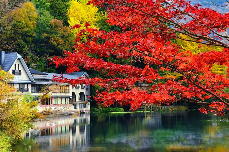 Kyushu Fukuoka Classic Day Tour | Nyoirin-ji Temple & Mt. Yufu & Yufuin & Kinrin Lake & Umi Jigoku (Sea Hell) & Kamado Jigoku (Oven Hell) Day Tour (Chinese and English Tour Guides / Departure from Fukuoka) - Two hours to make Yufuin your own