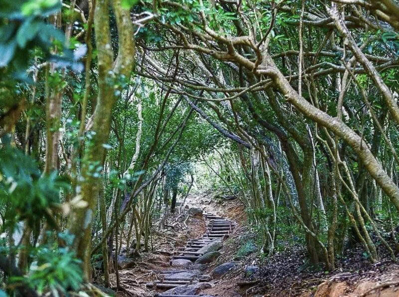 Kyushu Fukuoka Itoshima customized itinerary chartered car day trip/multi-day trip: Shiraito Falls, Sakurai Futamiura Couple Rocks, Sakurai Shrine, Dazaifu Tenmangu Shrine, Nanzoin Temple - The Couple Rocks are the coastal centerpiece
