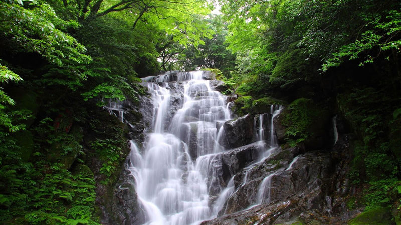 Kyushu Fukuoka Itoshima customized itinerary chartered car day trip/multi-day trip: Shiraito Falls, Sakurai Futamiura Couple Rocks, Sakurai Shrine, Dazaifu Tenmangu Shrine, Nanzoin Temple - Sakurai Shrine offers a change of pace