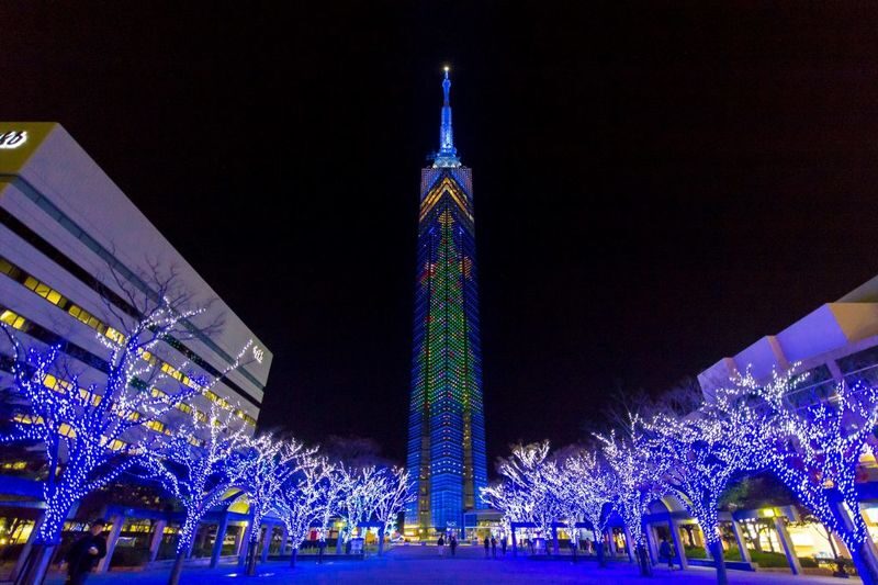 Kyushu Fukuoka Private Car Charter Day Tour - Pick a vehicle that fits people and bags