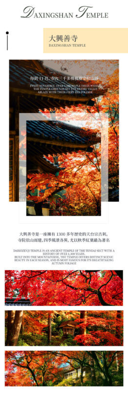 Kyushu Fukuoka & Saga Autumn Leaves One-Day Tour | Dazaifu Optional Kimono & Kyu-An & Night Maple - Kunenan’s brief autumn opening