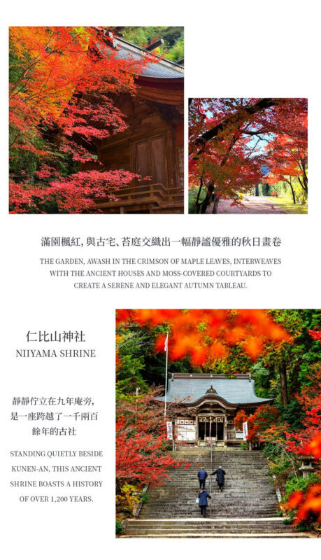 Kyushu Fukuoka & Saga Autumn Leaves One-Day Tour | Dazaifu Optional Kimono & Kyu-An & Night Maple - Kamado Shrine after dark