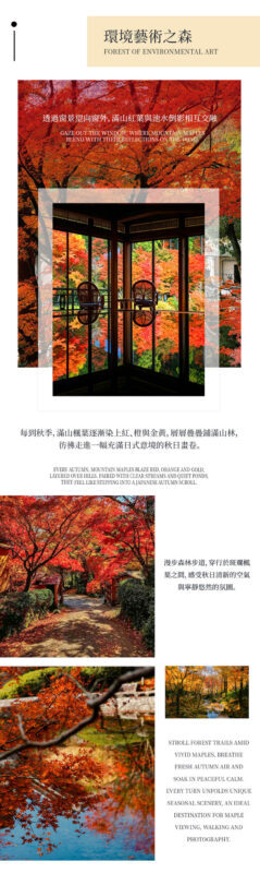 Kyushu Fukuoka & Saga Autumn Leaves One-Day Tour | Dazaifu Optional Kimono & Kyu-An & Night Maple - What the price covers, and what it does not
