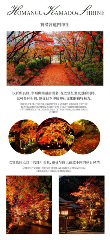 Kyushu Fukuoka & Saga Autumn Leaves One-Day Tour | Dazaifu Optional Kimono & Kyu-An & Night Maple - A group day with a firm clock