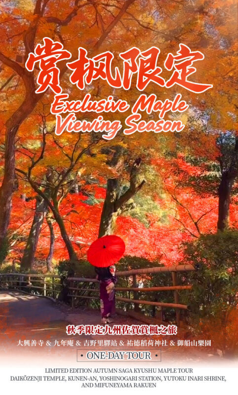 Kyushu Fukuoka & Saga Autumn Leaves One-Day Tour | Dazaifu Optional Kimono & Kyu-An & Night Maple - Who should book this autumn day trip?