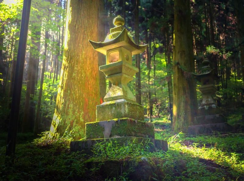 Kyushu Hiking Tour | Kamishikimi Kumanoimasu Shrine & Mount Aso Kusasenri & Kurokawa Onsen & Free Crater Shuttle Bus (Departing from Kumamoto/Fukuoka) - Is this Aso day trip right for you?