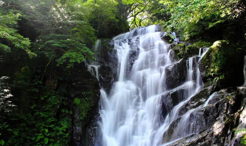 Kyushu Itoshima Coast Sightseeing & Shiraito Falls & Yanagawa River Cruise & Dazaifu Tenmangu Shrine Classic Dual Route Day Tour - Shiraito Falls and the autumn alternative