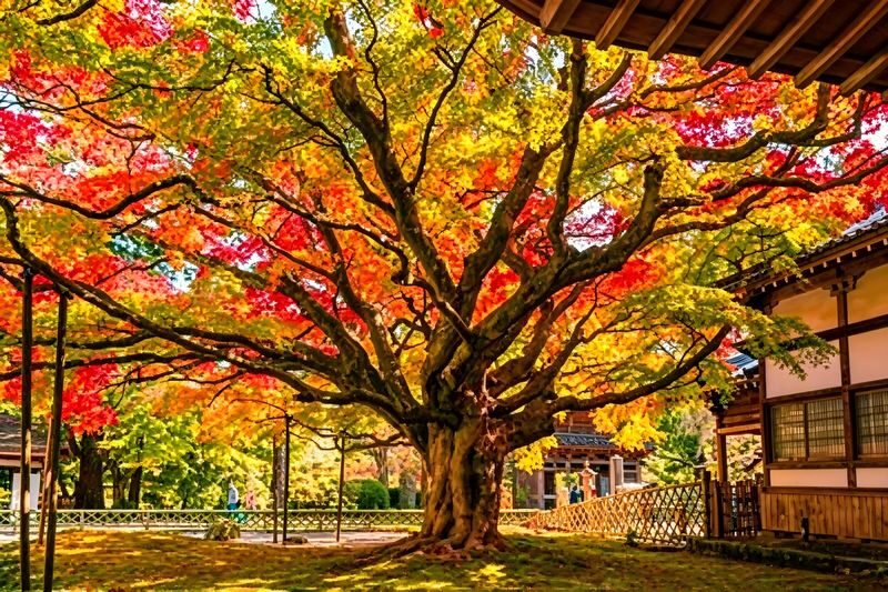 Kyushu Itoshima Coast & Yanagawa River Cruise & Dazaifu Tenmangu Shrine Day Trip (Departing from Fukuoka) - Raizan Sennyo-ji, a seasonal change of pace