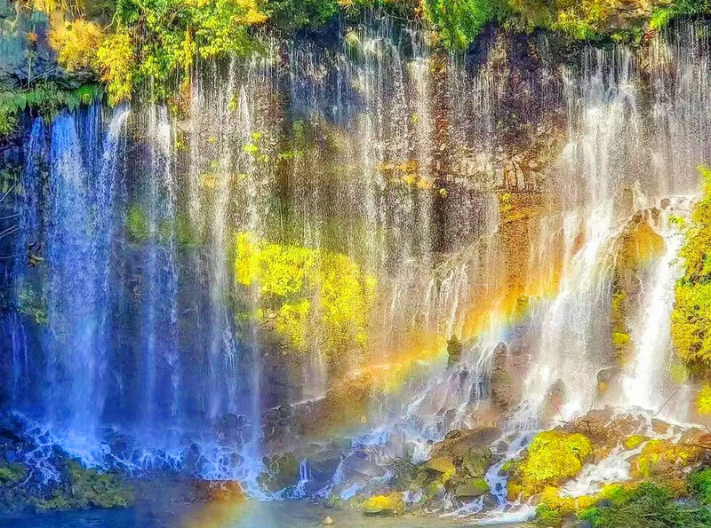 Kyushu Itoshima Popular Route: Itoshima Meoto Iwa & Angel Wing & Ichiran Ramen & Shiraito Falls & Dazaifu & Yanagawa River Cruise 1-Day Tour - Oyster huts and the taste of Itoshima
