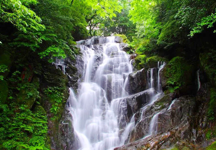 Kyushu Itoshima Popular Route: Itoshima Meoto Iwa & Angel Wing & Ichiran Ramen & Shiraito Falls & Dazaifu & Yanagawa River Cruise 1-Day Tour - Itoshima’s coconut swing and Meoto Iwa