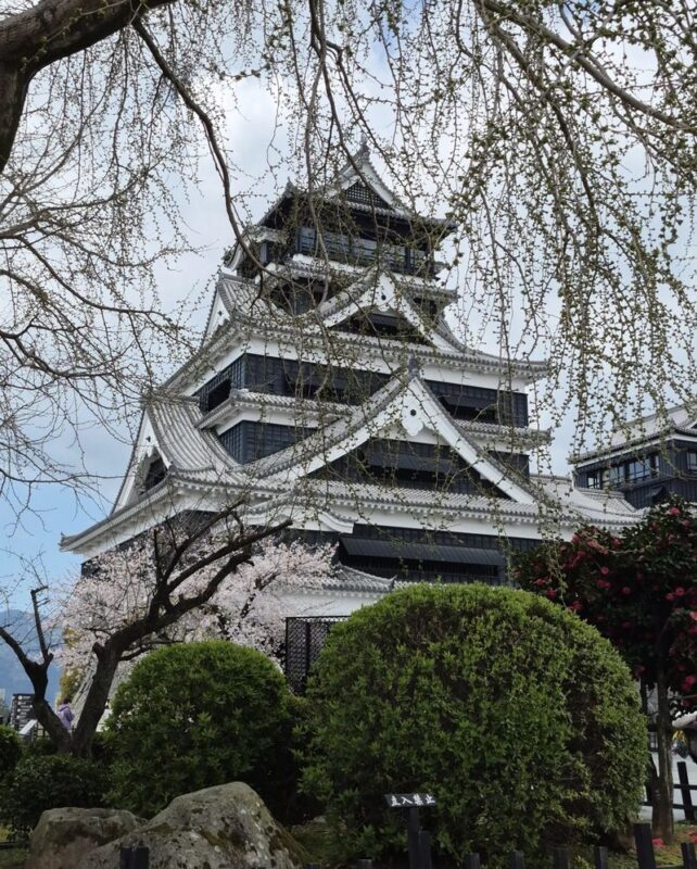 Kyushu [Kumamoto Chartered Car Day Trip] (Green Plate 5-seater/10-seater optional, port/airport/hotel transfer, Japanese-speaking driver customization) - The day’s best features