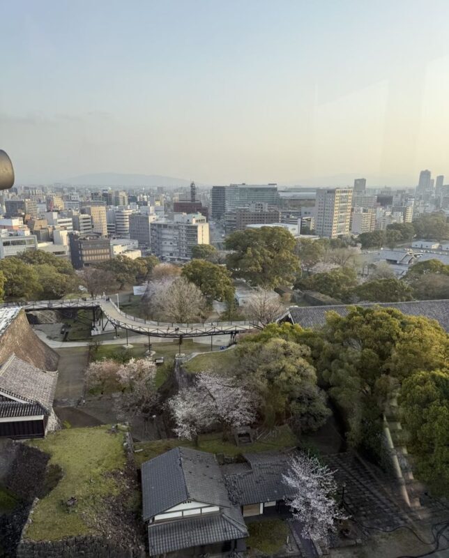 Kyushu [Kumamoto Chartered Car Day Trip] (Green Plate 5-seater/10-seater optional, port/airport/hotel transfer, Japanese-speaking driver customization) - Pick a route that fits seven hours