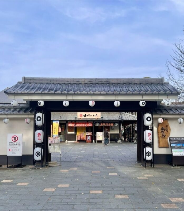 Kyushu [Kumamoto Chartered Car Day Trip] (Green Plate 5-seater/10-seater optional, port/airport/hotel transfer, Japanese-speaking driver customization) - Kumamoto Castle and Sakura no Baba Josaien