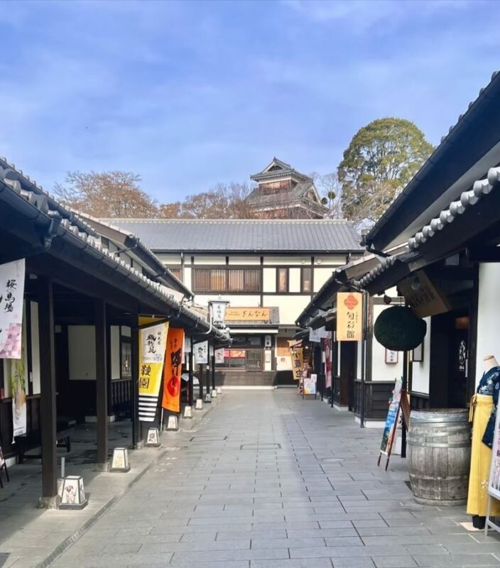 Kyushu [Kumamoto Chartered Car Day Trip] (Green Plate 5-seater/10-seater optional, port/airport/hotel transfer, Japanese-speaking driver customization) - Suizenji Jojuen Garden’s miniature Japan