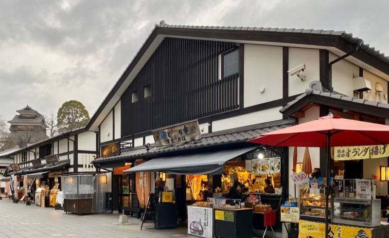 Kyushu [Kumamoto Chartered Car Day Trip] (Green Plate 5-seater/10-seater optional, port/airport/hotel transfer, Japanese-speaking driver customization) - What the driver does, and what you do