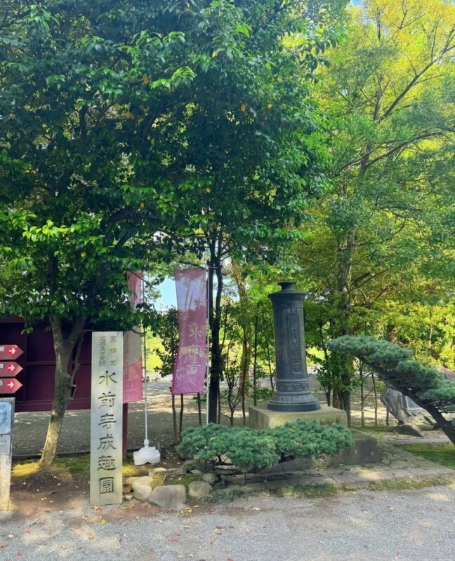 Kyushu [Kumamoto Chartered Car Day Trip] (Green Plate 5-seater/10-seater optional, port/airport/hotel transfer, Japanese-speaking driver customization) - Who should book this Kumamoto charter?