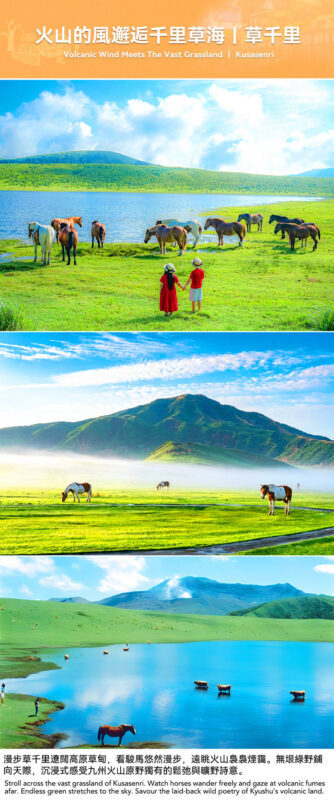 Kyushu Landscape Overview | Mount Aso & Minami Aso Train Experience & Takachiho Gorge (Optional Boat Ride) Day Tour - What the guide and transport add