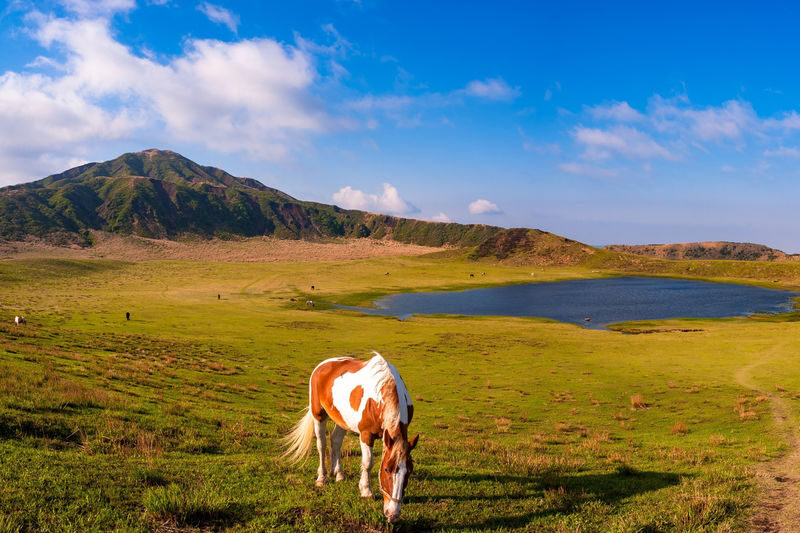 Kyushu Miyazaki | Day Tour with Optional Lunch & Boat Ride: Takachiho Gorge & Mount Aso | Kamishikimi Kumanoimasu Shrine & Amanoyasu-gawara Full-Day Romantic Tour - Amanoiwato Shrine and the stones at Amanoyasu-gawara