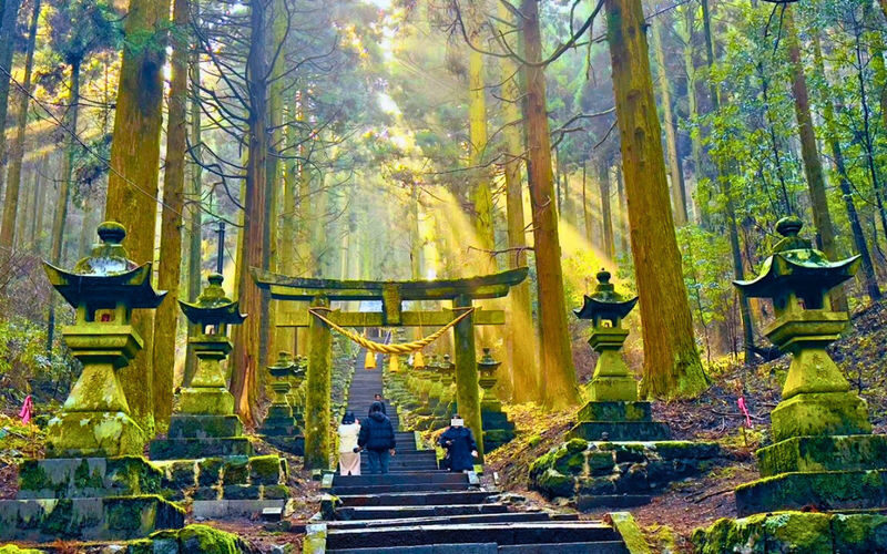 Kyushu: Mount Aso Crater, Kamishikimi Kumanoza Shrine & Takachiho Gorge Day Tour (Departing from Fukuoka) - A big Kyushu day from Fukuoka