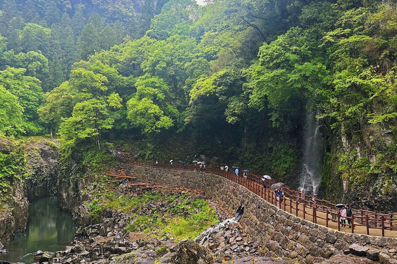 Kyushu: Mount Aso Crater, Kamishikimi Kumanoza Shrine & Takachiho Gorge Day Tour (Departing from Fukuoka) - Should you book it?