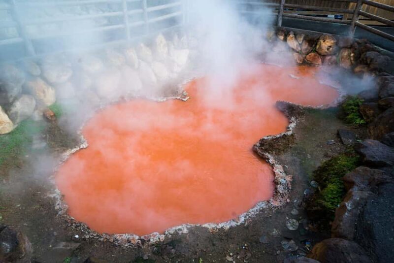 Kyushu Natural Adventure Day Tour: Zoo, Onsen & Hellscape - The Value of this Kyushu Day Trip