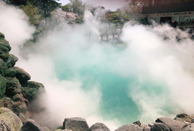 Kyushu Natural Adventure Day Tour: Zoo, Onsen & Hellscape - Discovering Kyushu in One Day: Zoo, Onsen & Hellscape