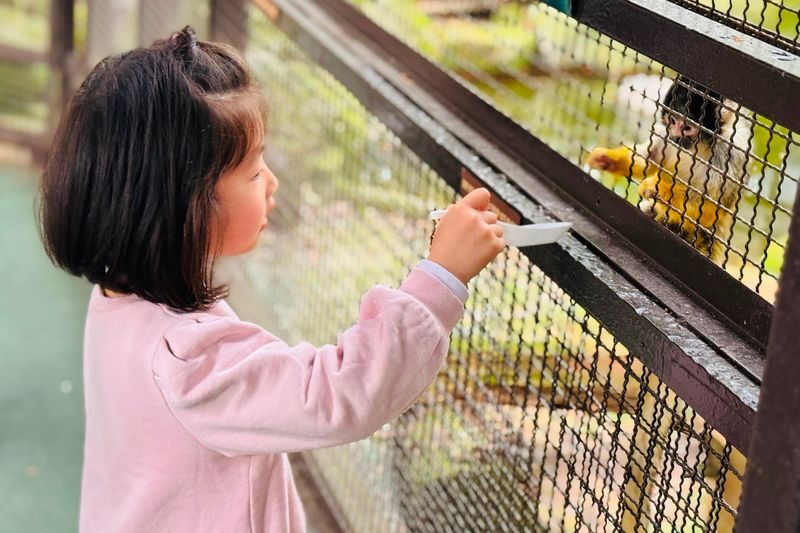 Kyushu Natural Zoological Park and Yufuin Full-Day Wildlife Tour - The price is attractive, but check what it includes
