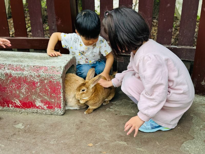 Kyushu Natural Zoological Park and Yufuin Full-Day Wildlife Tour - Plan for queues, traffic and a few tight transitions