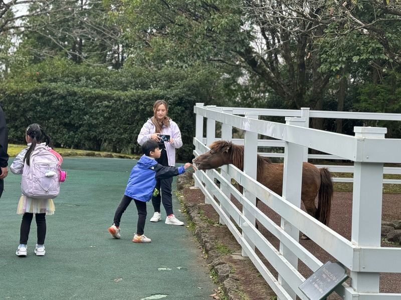 Kyushu Natural Zoological Park and Yufuin Full-Day Wildlife Tour - Who should book this Kyushu day tour?