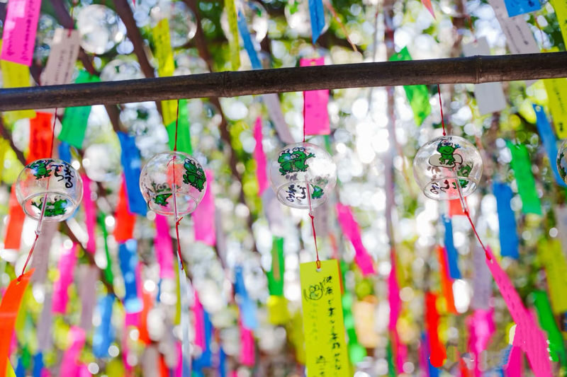 Kyushu: Nyoirin-ji Temple & Kinrinko Lake Water Torii & Yufuin & Beppu Hells Tour Day Trip - Who should book this Kyushu day trip?