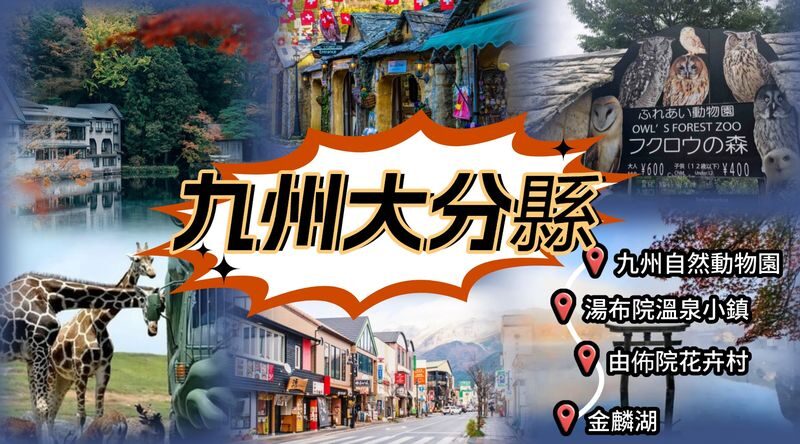 Kyushu | Oita Kyushu Natural Animal Park/Beppu Sea Hell Hot Spring/Yufuin/Kinrin Lake Customized Chartered Day Tour - A private ride, not a fixed sightseeing tour